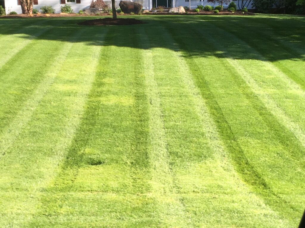 Freshly mowed residential lawn with crisp, clean stripes and healthy green grass, showcasing professional lawn care work.