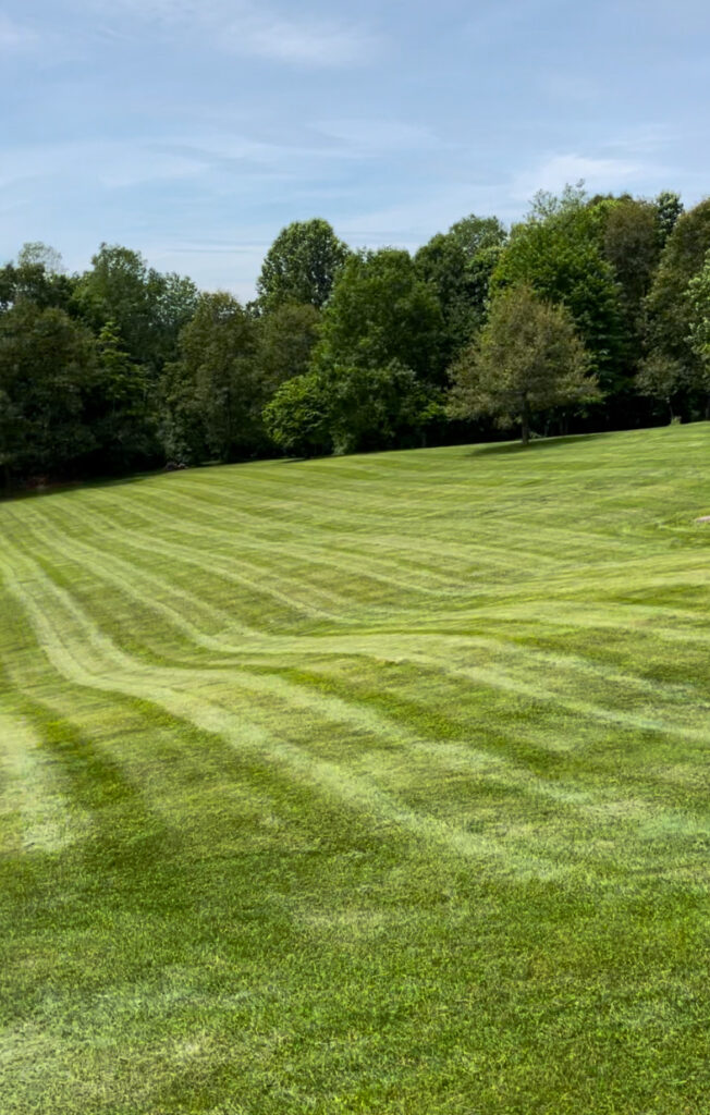 Wide open lawn with professional mowing stripes on a sunny day, bordered by lush green trees.